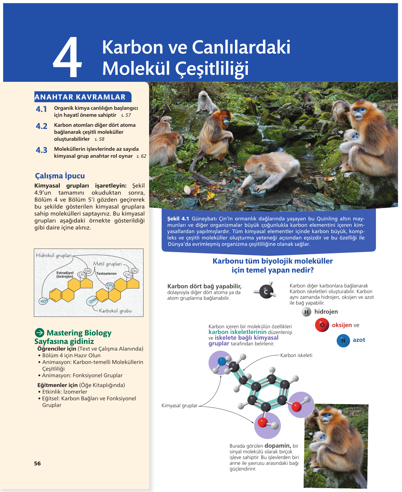 Campbell Biyoloji (12. Baskı) ADVERTI